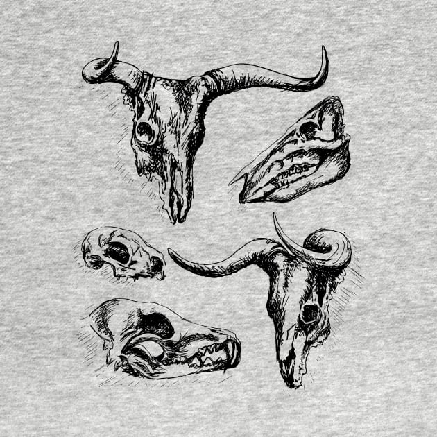 Animal Skulls by SWON Design